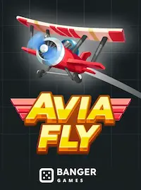 Avia Fly crash at 9333BET COM